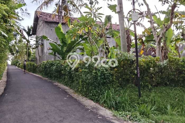Tanah Dijual Lokasi Melaya Jembrana SHM Tanah Dijual Lokasi Melaya Jembrana SHM