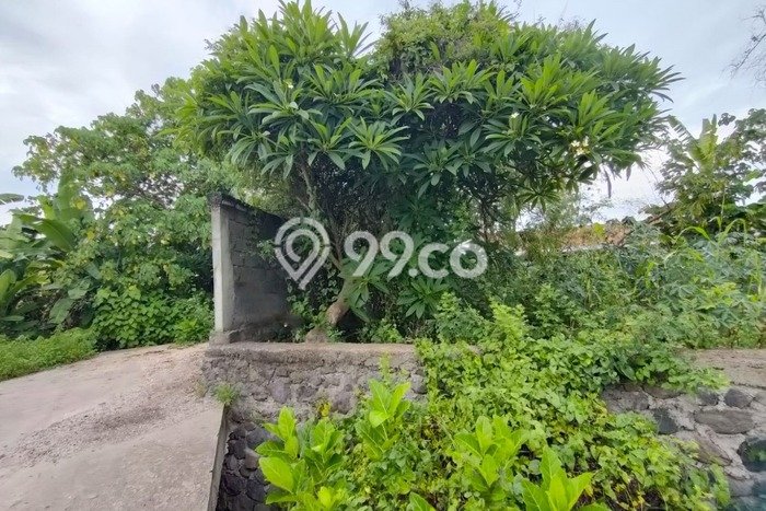 Disewakan Tanah di Gianyar, Luas 1130m2 Area Berkembang Disewakan Tanah di Gianyar, Luas 1130m2 Area Berkembang