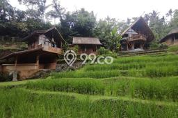 Tanah Dijual Area Strategis di Jatiluwih Tabanan 6270m2 Tanah Dijual Area Strategis di Jatiluwih Tabanan 6270m2