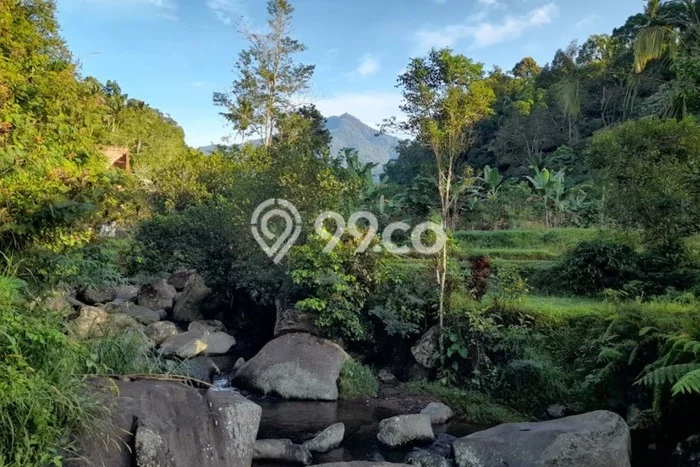 Tanah Dijual Area Strategis di Jatiluwih Tabanan 6270m2 Tanah Dijual Area Strategis di Jatiluwih Tabanan 6270m2