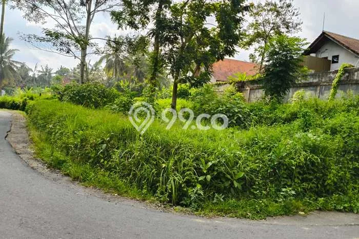 Lahan Disewakan di Ubud, Gianyar, Luas 500m2 - Lahan Disewakan di Ubud, Gianyar, Luas 500m2 -