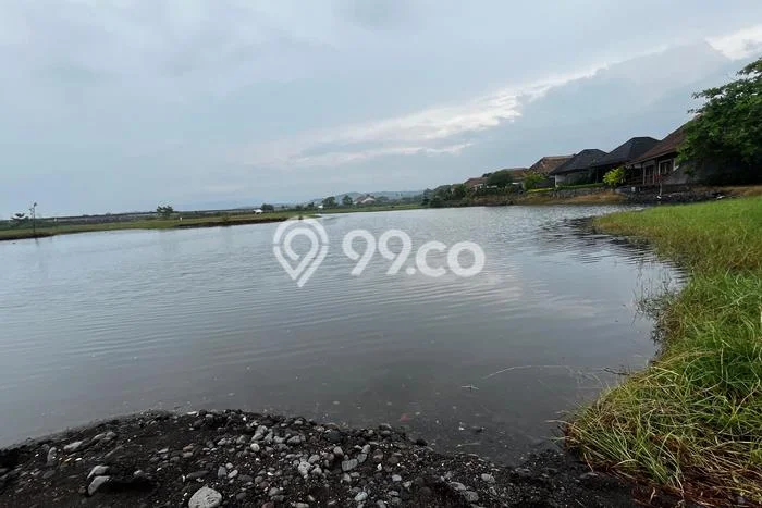 Tanah Komersial Dijual di Seririt Buleleng 100000m2 Tanah Komersial Dijual di Seririt Buleleng 100000m2