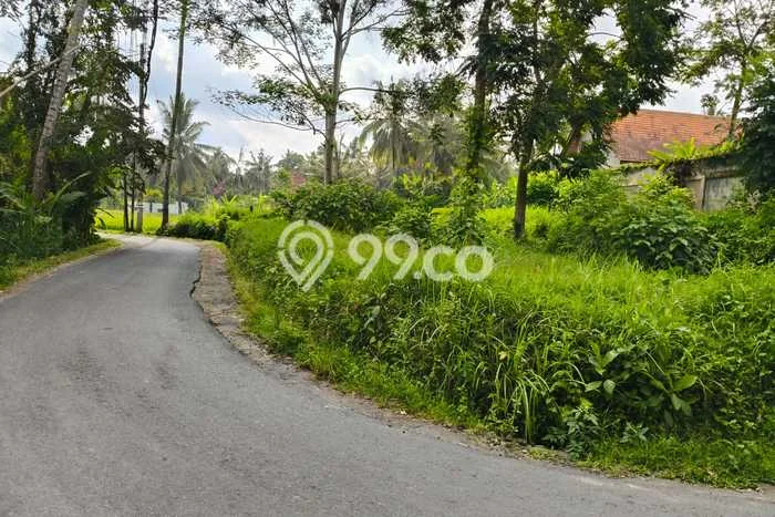 Lahan Disewakan di Ubud, Gianyar, Luas 500m2 - Lahan Disewakan di Ubud, Gianyar, Luas 500m2 -