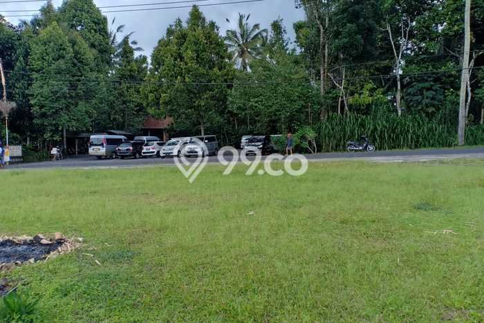Jarang Ada! Tanah di Tampaksiring Punya Luas 3000m2 SHM Jarang Ada! Tanah di Tampaksiring Punya Luas 3000m2 SHM