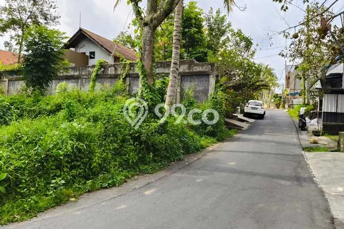 Lahan Disewakan di Ubud, Gianyar, Luas 500m2 - Lahan Disewakan di Ubud, Gianyar, Luas 500m2 -