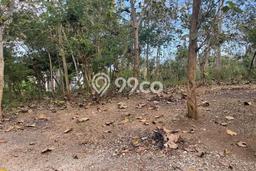 Tanah Kavling Dijual di Badung dengan Spesifikasi 2770m2 Tanah Kavling Dijual di Badung dengan Spesifikasi 2770m2