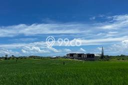 Tanah di Tabanan, Tabanan Luas 2400m2 Dijual Segera Tanah di Tabanan, Tabanan Luas 2400m2 Dijual Segera