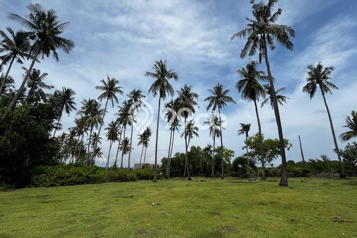 Untuk Dijual Tanah di Buleleng, Luas 21750m2 SHM Untuk Dijual Tanah di Buleleng, Luas 21750m2 SHM
