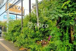 Dijual Tanah Lokasi Nusa Dua, Badung Seluas 3100m2 Dijual Tanah Lokasi Nusa Dua, Badung Seluas 3100m2