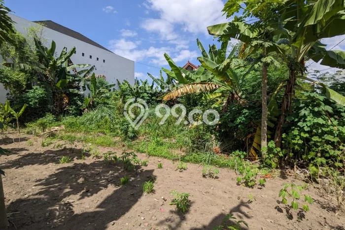Tanah Dijual Lokasi Umbulharjo, Yogyakarta Luas 205m2 Legalitas Aman Tanah Dijual Lokasi Umbulharjo, Yogyakarta Luas 205m2 Legalitas Aman