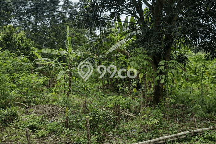 Lahan Kosong Dijual di Sleman dengan Area 1986m2 Lahan Kosong Dijual di Sleman dengan Area 1986m2