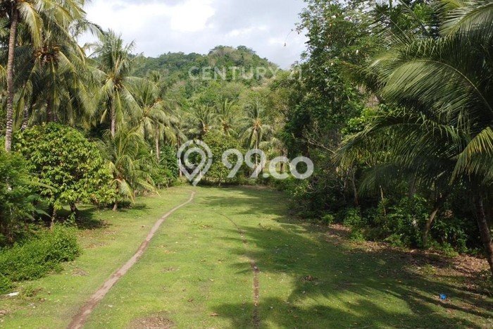 Untuk Dijual Tanah 1711m2 di Pemenang, Lombok Barat Untuk Dijual Tanah 1711m2 di Pemenang, Lombok Barat
