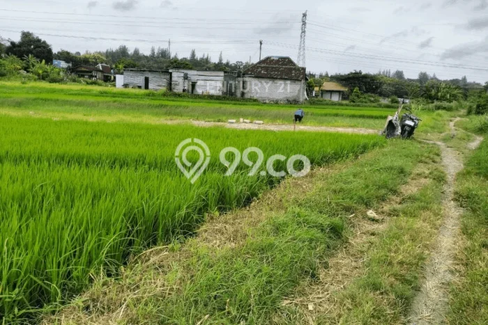 Kavling Tanah Dijual di Kasihan Bantul Spesifikasi 1257m2 Kavling Tanah Dijual di Kasihan Bantul Spesifikasi 1257m2