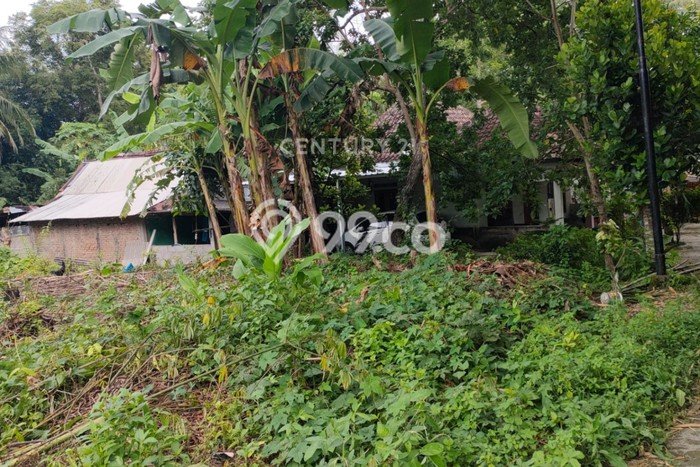 Tanah Komersial Dijual di Kasihan Bantul 450m2 Tanah Komersial Dijual di Kasihan Bantul 450m2