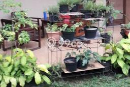Rumah Luxury Modern Siap Huni di Kedung Halang Bogor Rumah Luxury Modern Siap Huni di Kedung Halang Bogor