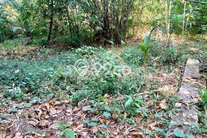 Tanah Komersial Dijual di Pajangan Bantul 1505m2 Tanah Komersial Dijual di Pajangan Bantul 1505m2