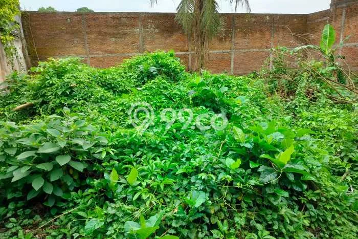 Tanah di Kepanjen, Malang Luas 439m2 Dijual Segera Tanah di Kepanjen, Malang Luas 439m2 Dijual Segera