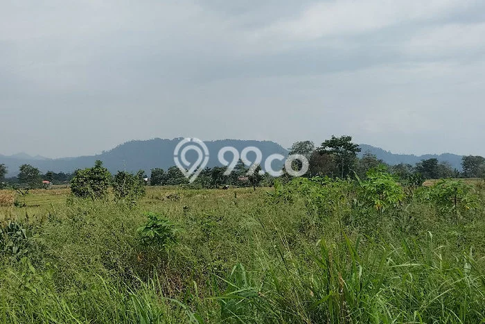 Tanah Kavling di Balapulang Dijual dengan Luas 240m2 Tanah Kavling di Balapulang Dijual dengan Luas 240m2