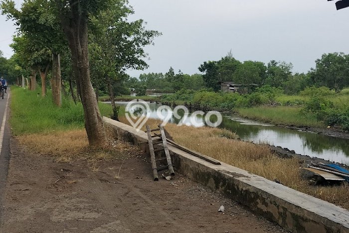 Lahan Dijual Lokasi Kandeman, Batang dengan Luas Tanah 11800m2 dan Status SHM Lahan Dijual Lokasi Kandeman, Batang dengan Luas Tanah 11800m2 dan Status SHM