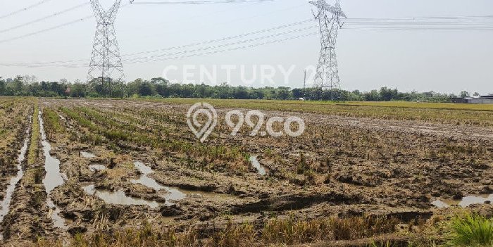 Dijual Tanah di Tegal, Luas 7070m2 SHM Dijual Tanah di Tegal, Luas 7070m2 SHM
