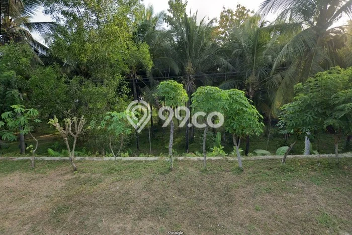 Tanah Dijual Lokasi Pacitan, Pacitan Luas 3544m2 Legalitas Aman Tanah Dijual Lokasi Pacitan, Pacitan Luas 3544m2 Legalitas Aman