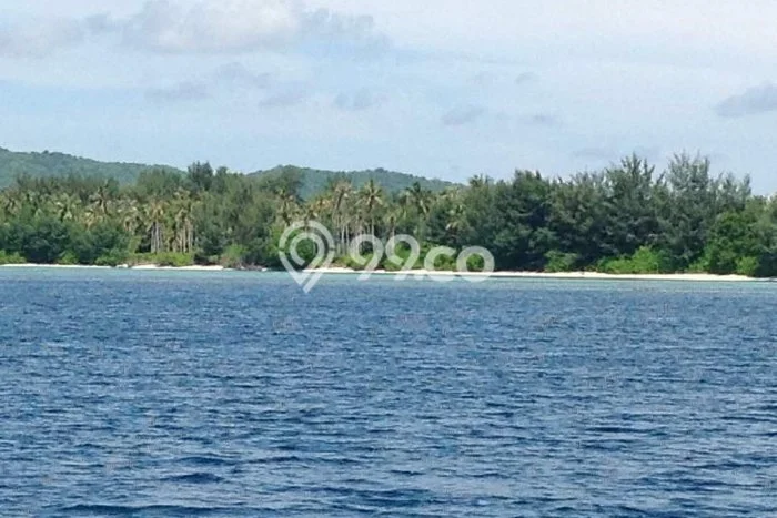 Kavling Tanah Dijual di Jepara Jepara Spesifikasi 445000m2 Kavling Tanah Dijual di Jepara Jepara Spesifikasi 445000m2