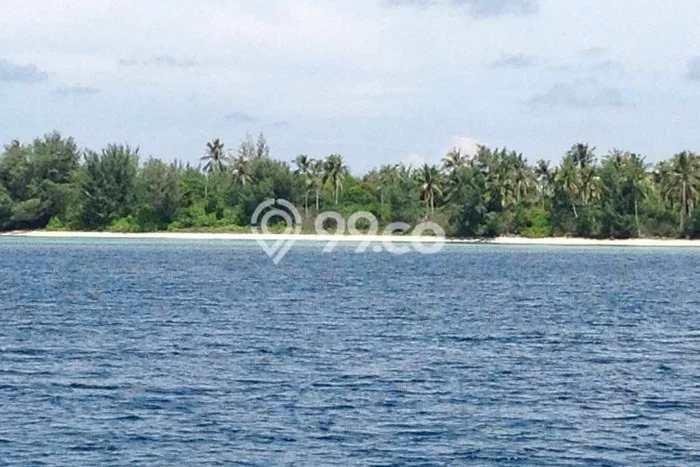 Kavling Tanah Dijual di Jepara Jepara Spesifikasi 445000m2 Kavling Tanah Dijual di Jepara Jepara Spesifikasi 445000m2