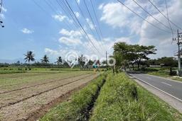 Untuk Dijual Tanah di Pakis Malang Luas 6738m2 SHM Untuk Dijual Tanah di Pakis Malang Luas 6738m2 SHM