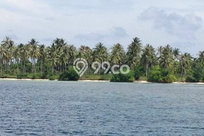 Kavling Tanah Dijual di Jepara Jepara Spesifikasi 445000m2 Kavling Tanah Dijual di Jepara Jepara Spesifikasi 445000m2