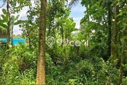 Tanah Kosong Dijual di Purwakarta dengan Area 550m2 Tanah Kosong Dijual di Purwakarta dengan Area 550m2