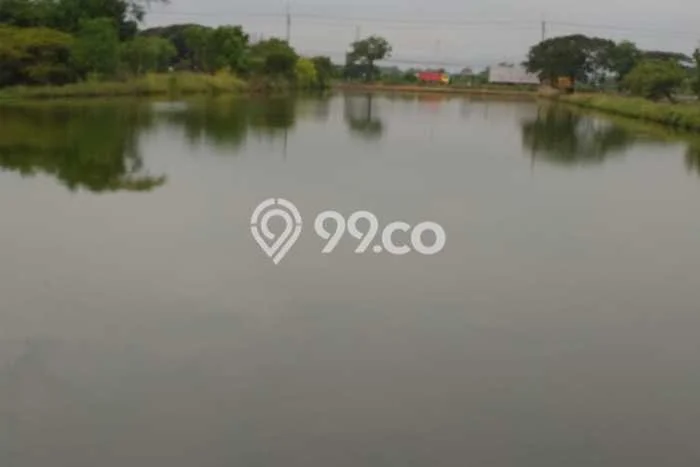 Tanah Kavling di Gresik Gresik Disewakan dengan Luas 21271m2 Tanah Kavling di Gresik Gresik Disewakan dengan Luas 21271m2