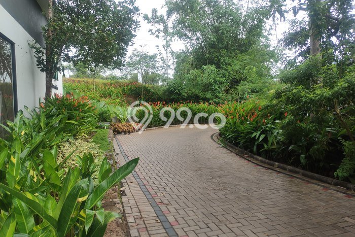 Dijual Rumah Murah di Parung Kuda Sukabumi Harga Rp 166 Juta LT 60m2 Dijual Rumah Murah di Parung Kuda Sukabumi Harga Rp 166 Juta LT 60m2