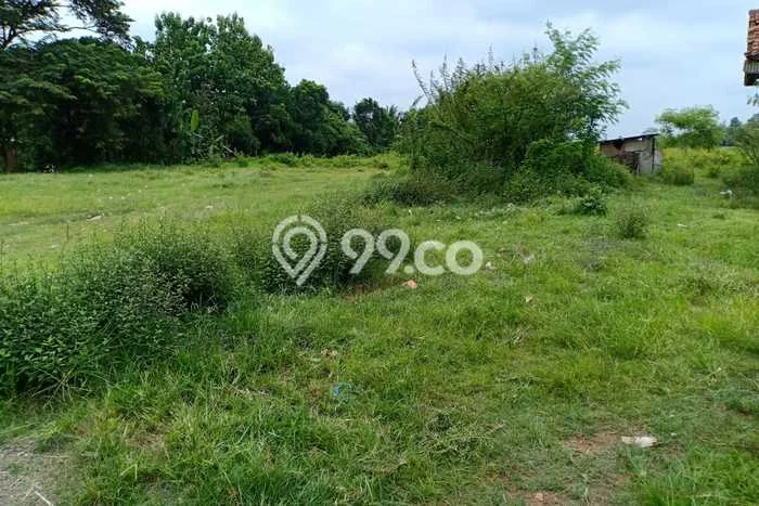 Tanah di Subang, Subang Luas 8800m2 Dijual Segera Tanah di Subang, Subang Luas 8800m2 Dijual Segera