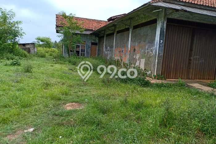 Tanah di Subang, Subang Luas 8800m2 Dijual Segera Tanah di Subang, Subang Luas 8800m2 Dijual Segera