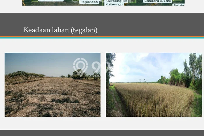 Tanah Kavling untuk Dijual di Patebon Kendal 185m2 Tanah Kavling untuk Dijual di Patebon Kendal 185m2