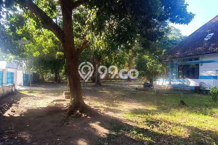 Disewakan Rumah Konsep Modern di Raba Bima dengan 2 KT Disewakan Rumah Konsep Modern di Raba Bima dengan 2 KT