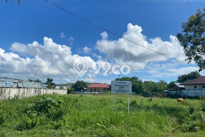 Tanah Kavling untuk Disewa di Namlea Buru 3504m2 Tanah Kavling untuk Disewa di Namlea Buru 3504m2