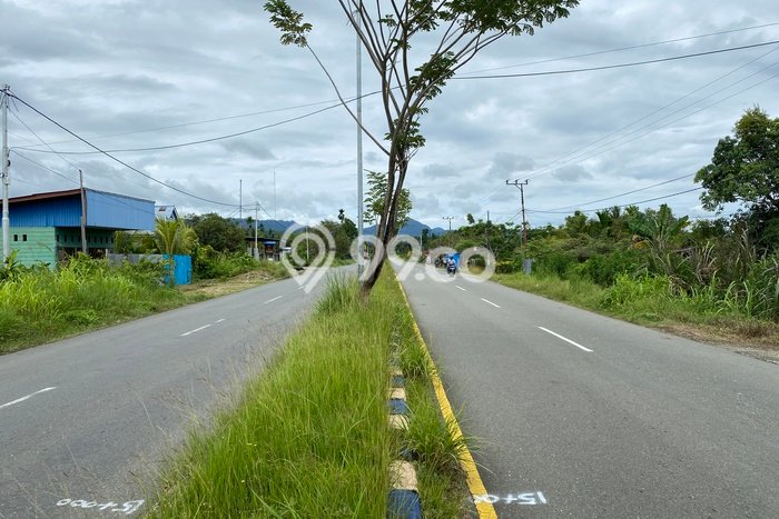Kavling Tanah Disewakan di Teluk Kimi Nabire Luas 7500m2 Strategis Kavling Tanah Disewakan di Teluk Kimi Nabire Luas 7500m2 Strategis