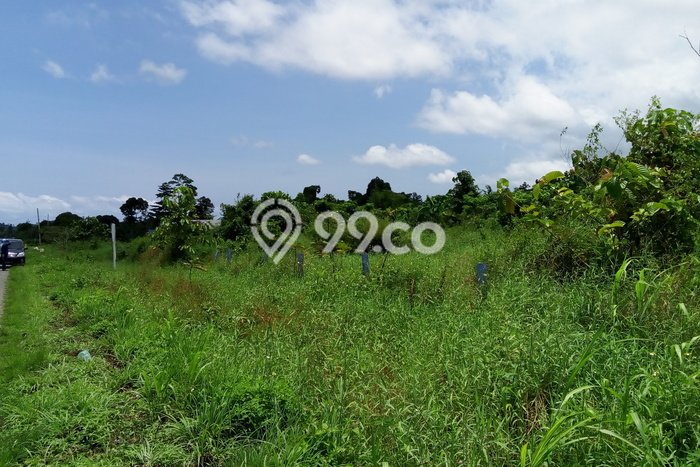 Kavling Tanah Disewakan di Teluk Kimi Nabire Luas 7500m2 Strategis Kavling Tanah Disewakan di Teluk Kimi Nabire Luas 7500m2 Strategis