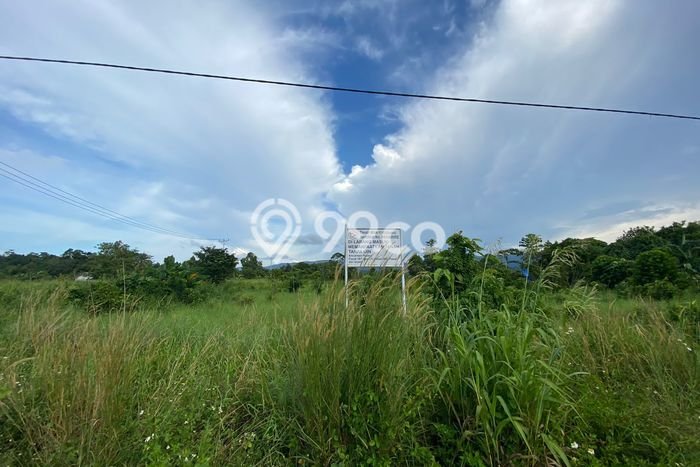 Kavling Tanah Disewakan di Teluk Kimi Nabire Luas 7500m2 Strategis Kavling Tanah Disewakan di Teluk Kimi Nabire Luas 7500m2 Strategis