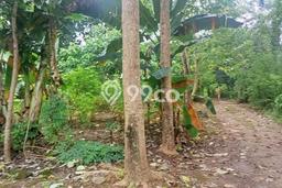 Tanah Komersial Dijual di Kupang Tengah Kupang 8726m2 Tanah Komersial Dijual di Kupang Tengah Kupang 8726m2