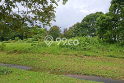 Tanah Kavling di Prigen Dijual dengan Luas 700m2 Tanah Kavling di Prigen Dijual dengan Luas 700m2