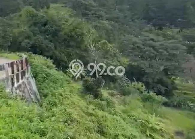 Tanah Kosong Dijual di Pasuruan dengan Area 160m2 Tanah Kosong Dijual di Pasuruan dengan Area 160m2