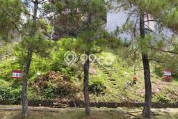 Tanah Dijual Lokasi Cidadap, Bandung dengan Luas Tanah 315m2 dan Status SHM Tanah Dijual Lokasi Cidadap, Bandung dengan Luas Tanah 315m2 dan Status SHM