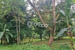 Kavling Tanah di Cijeruk Dijual Luas 6675m2 Legalitas SHM Kavling Tanah di Cijeruk Dijual Luas 6675m2 Legalitas SHM
