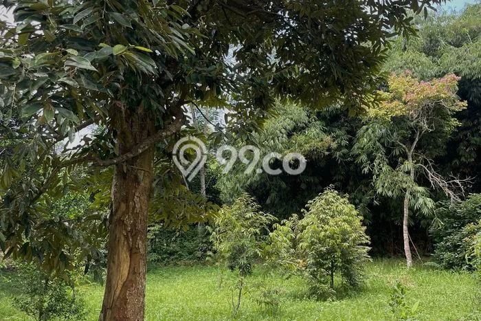 Kavling Tanah Dijual di Jonggol, Bogor, Luas 1110m2 Area Strategis Kavling Tanah Dijual di Jonggol, Bogor, Luas 1110m2 Area Strategis
