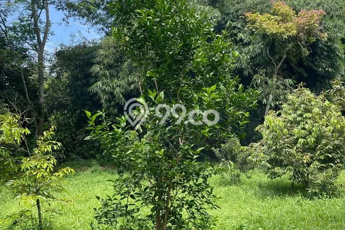 Kavling Tanah Dijual di Jonggol, Bogor, Luas 1110m2 Area Strategis Kavling Tanah Dijual di Jonggol, Bogor, Luas 1110m2 Area Strategis