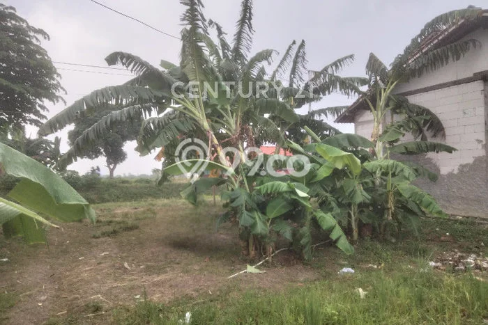 Tanah Kavling di Suradadi Dijual dengan Luas 2288m2 Tanah Kavling di Suradadi Dijual dengan Luas 2288m2