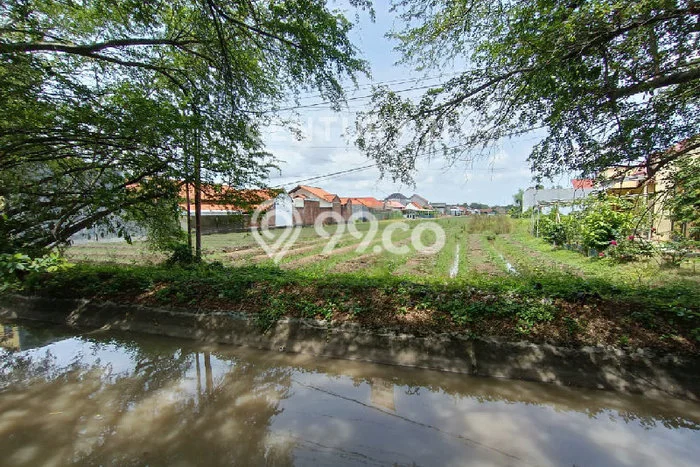 Untuk Dijual Tanah di Brebes Brebes Luas 1800m2 SHM Untuk Dijual Tanah di Brebes Brebes Luas 1800m2 SHM