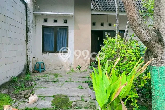 Hunian Nyaman 2 KT Hemat Budget di Sidoarjo Surabaya Hunian Nyaman 2 KT Hemat Budget di Sidoarjo Surabaya